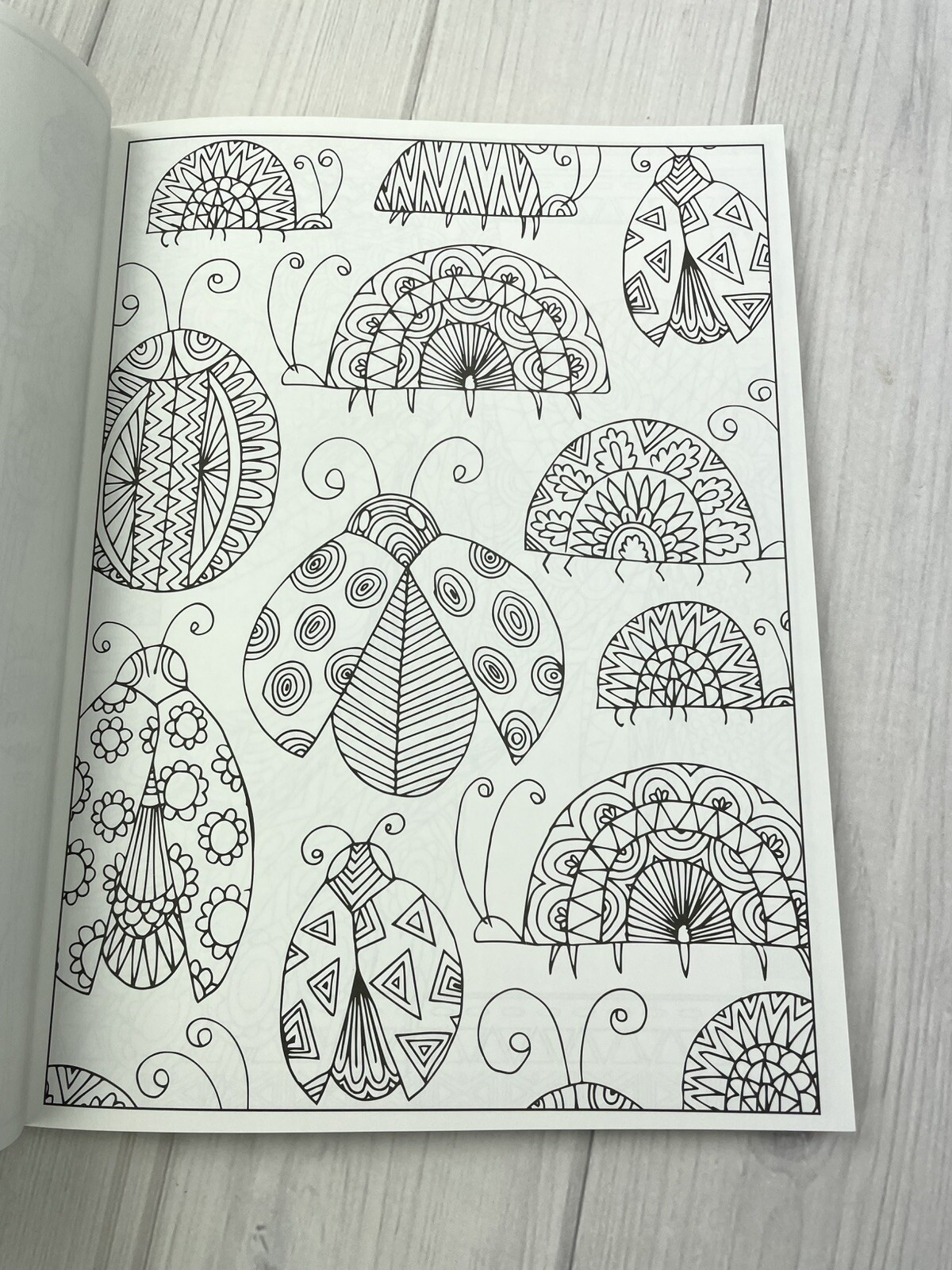 Picture 5 of 5