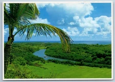 Winding Up Wailua River Fern Grotto Hawaii Continental 4X6 Postcard A1I 1979