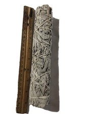 California White Sage Smudge Stick 9" Long 1 pack Free Shipping