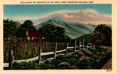 Sharp Top Mountain, Great Smoky Mountains National Park, East Postcard