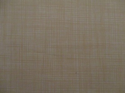 Cotton Quilt Fabric Tan Crosshatch Print Lily's Linen Patrick Lose RJR  2 Yards