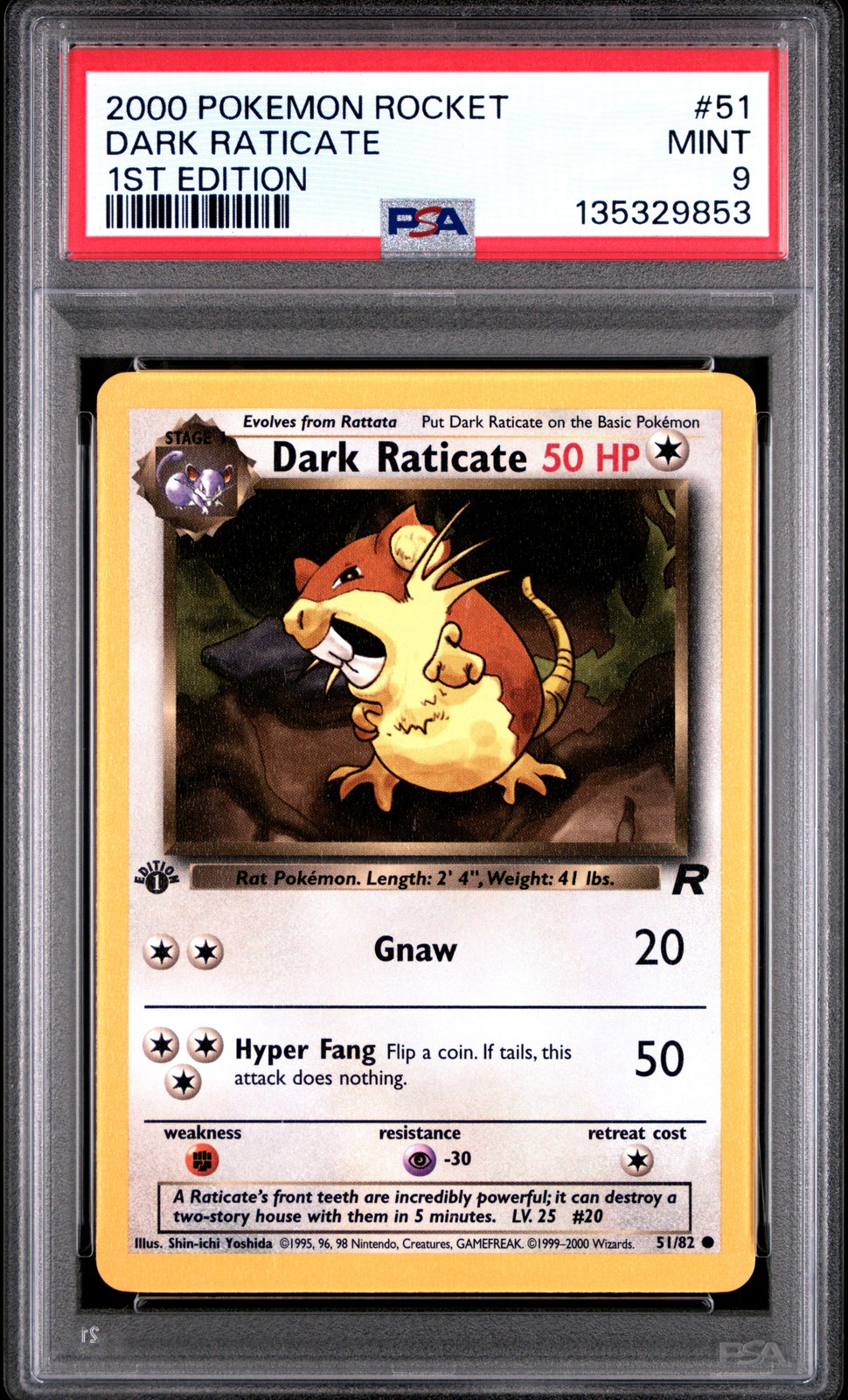 Dark Raticate 1st Edition #51