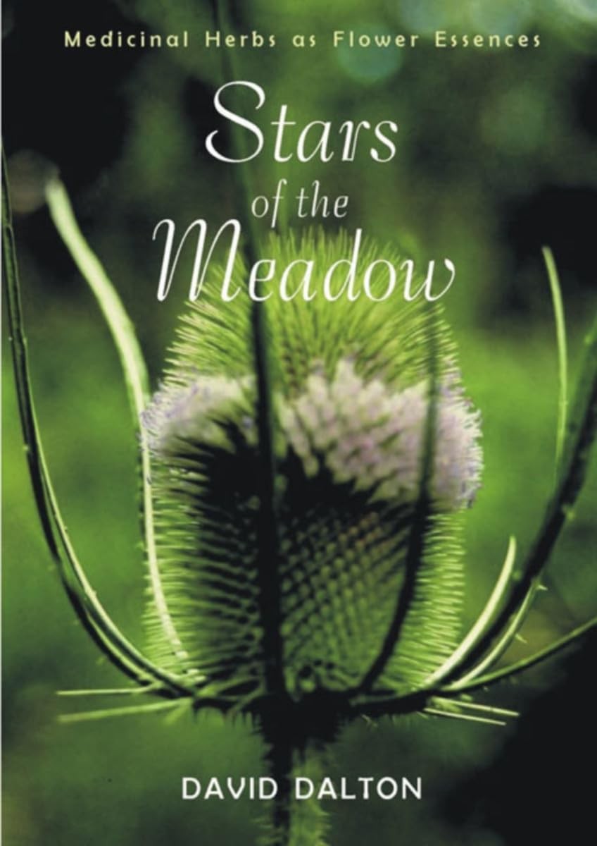 Stars of the Meadow by David Dalton - - Image 7