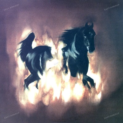 The Besnard Lakes - The Besnard Lakes Are The Dark Horse LP (VG+) '