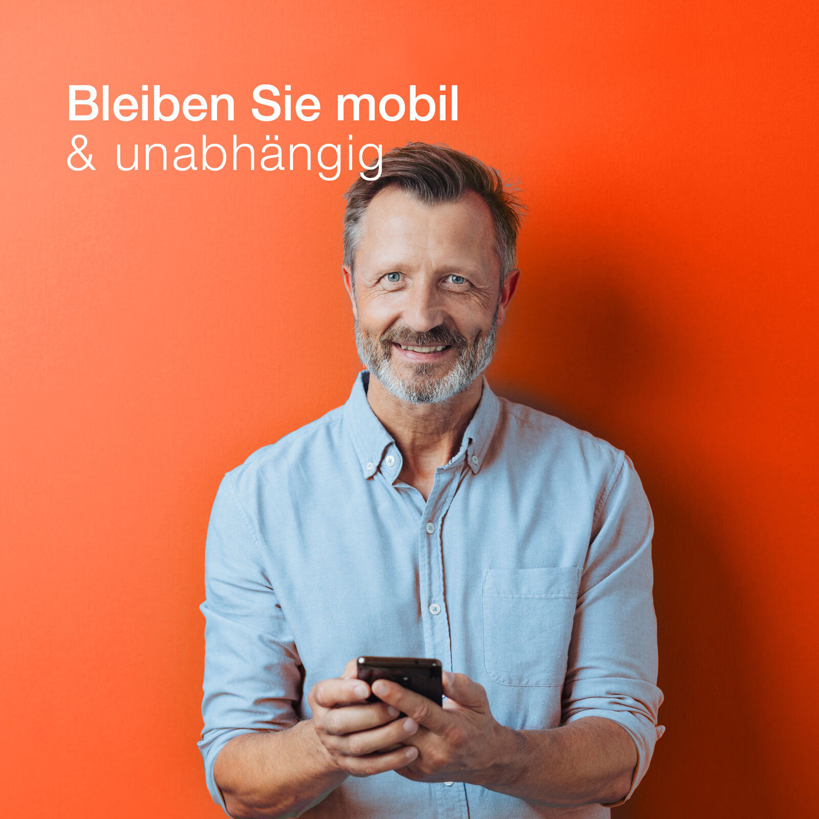 Bild 7 von 7