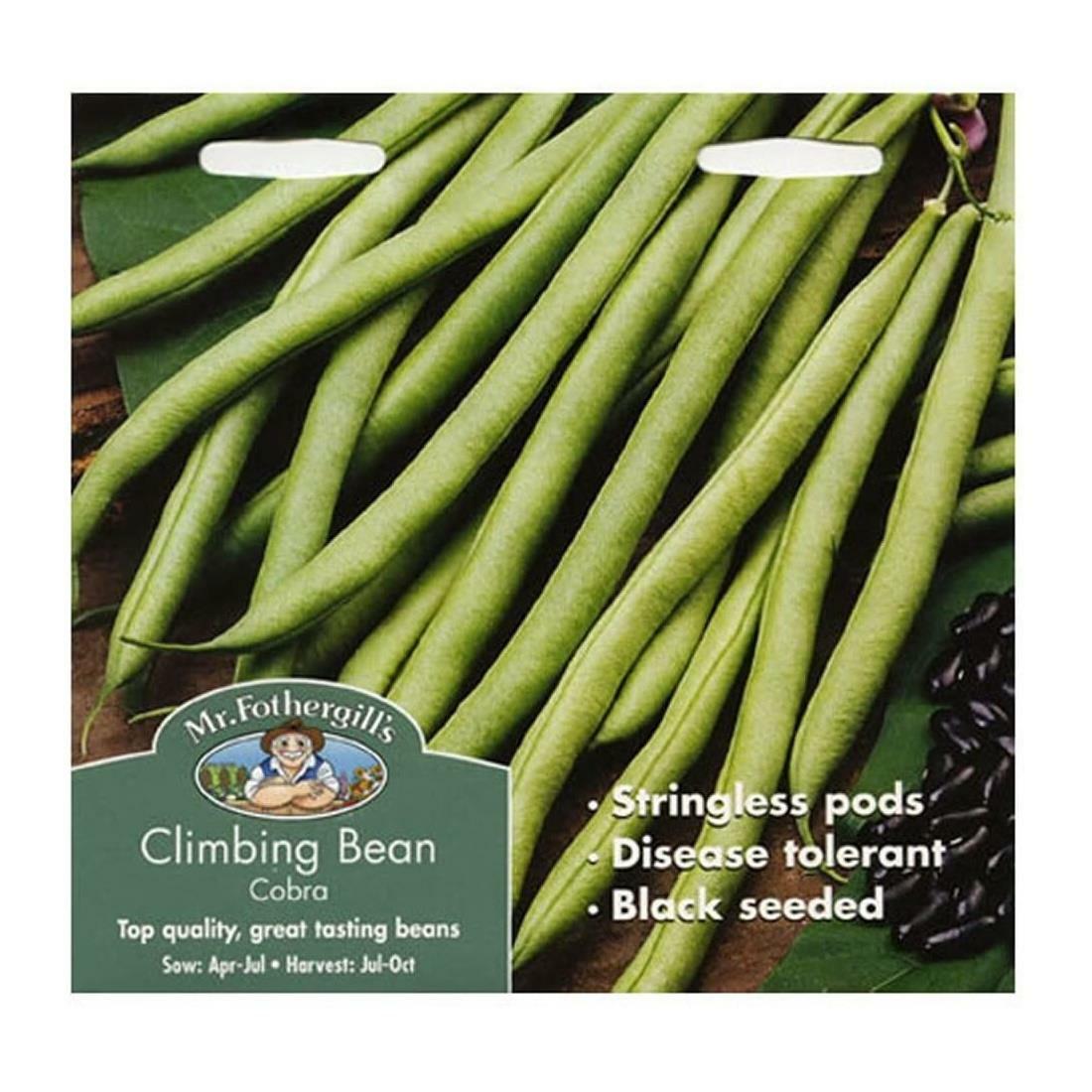 Mr Fothergills Vegetable Seeds Climbing Bean Cobra Stringless Pods Black Seed