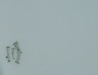 Bild 22 von 22