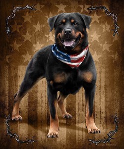 Uk Online Jq Patriotic To The Bone Rottweiler Dog Signature Queen Blanket Cheap Uk Outlet Sale Galeriearenthon Com