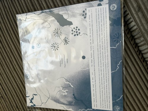 Floating World Pictures Pastoral Galleon 12” Friendly Records New 250 Copies - 第 2/2 張圖片
