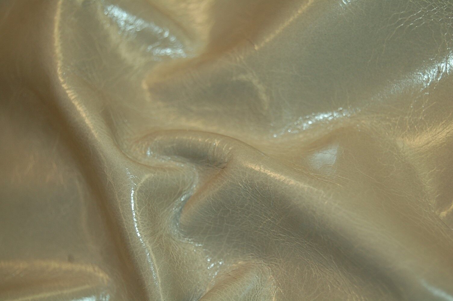 Picture 1 of 6