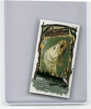 2024 Topps Allen & Ginter #SC-22 Snook Mini Swamp Creatures - 11721