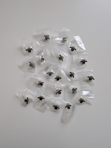 ✅ Anstecker / Shaun Das Schaf - WDR - Neu - Sammeln - 2cm - Kinder - Selten ✅ - Bild 16 von 16