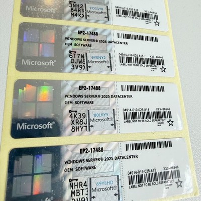 Windows Server  2025 Datacenter - CAO Lizenzaufkleber (NEU & OVP) - Silber