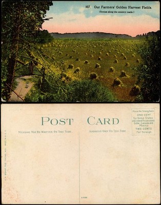 .USA United States America Our Farmers' Golden Harvest Fields. Farmer  USA 1913