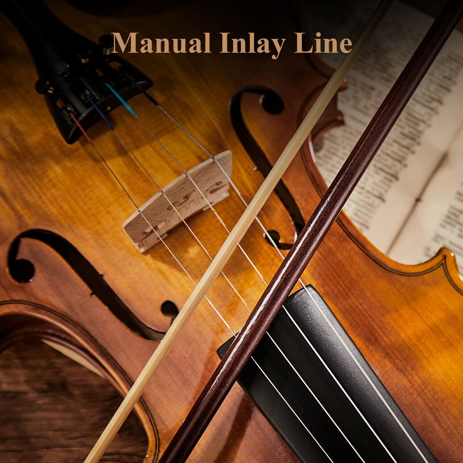 🎻 Eastar 4/4 Full Size Violin Maple Wood Matte Acoustic Violins + Hard