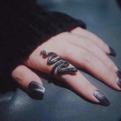 T.S Snake Ring Reputation Album Adjustable Multicolor