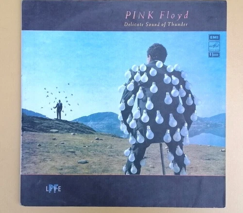 Pink Floyd is a double vinyl album by Delicate Sound Of Thunder.