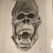 Original Skull Animal Drawing Graphite on Paper Signed Dated 2019 Art