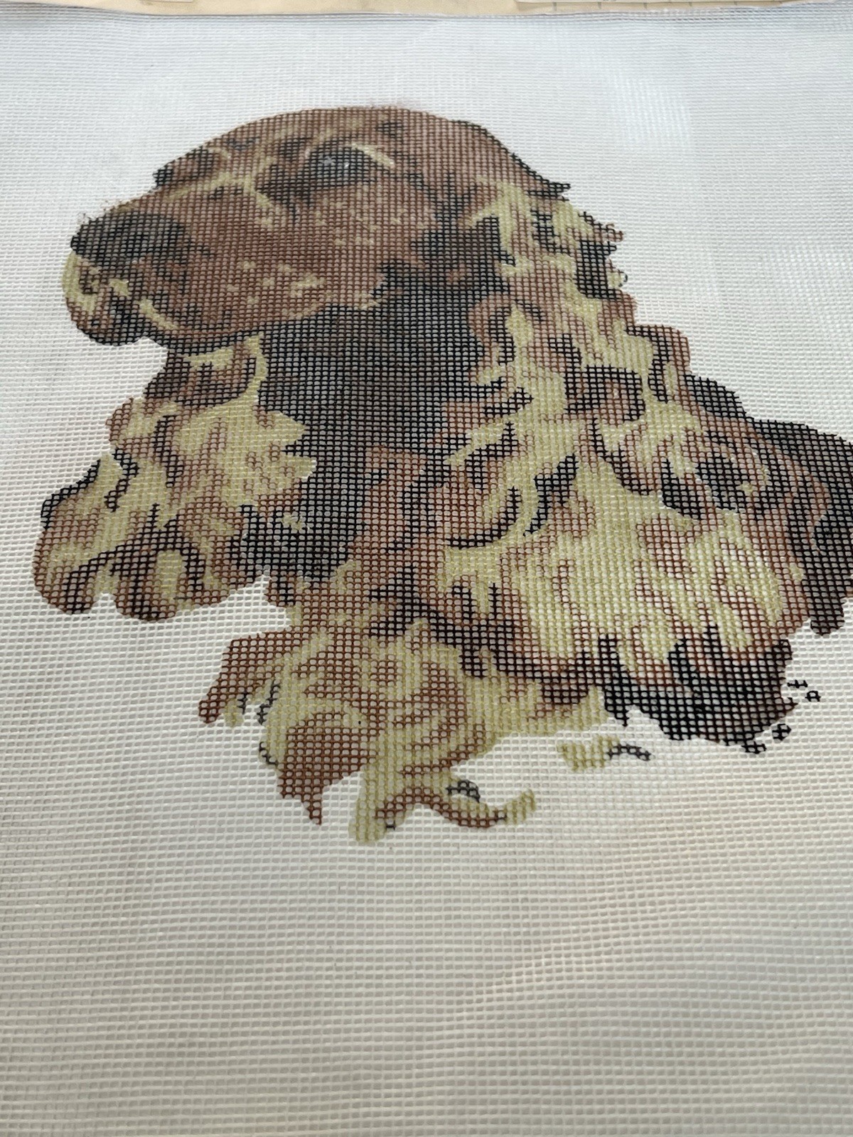 Picture 10 of 11