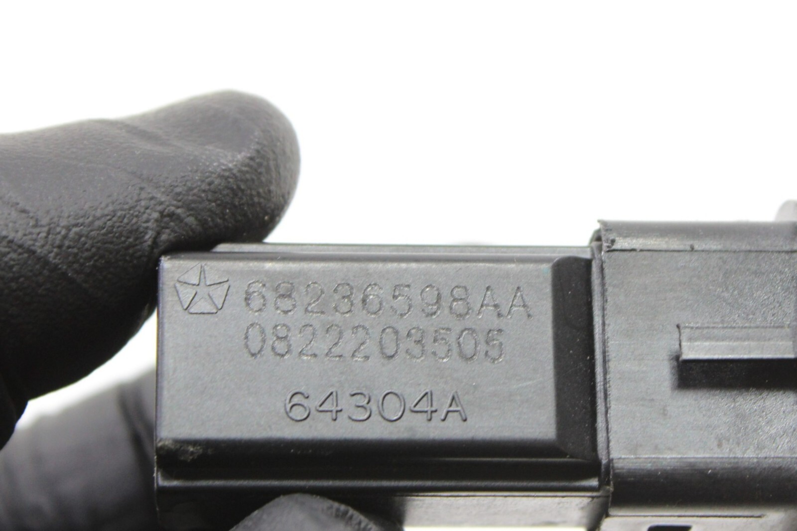 Picture 6 of 6