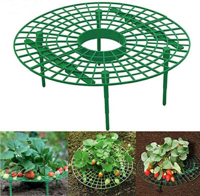 Crawling Plants Height Riser Stand Support Elevated Growing