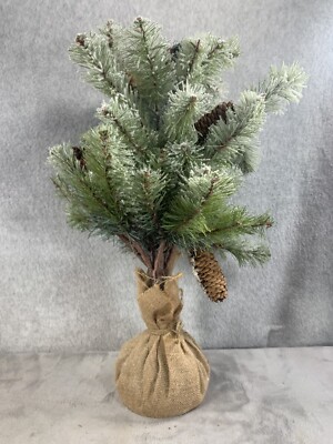 19'' Frosted Spruce Sapling Artificial Christmas Tree With Pine Cones In Burlap