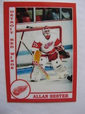 2015 SCA  Allan Bester 02/10 detroit red wings goalies never issued produced