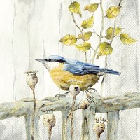 Ihr Kantori Lunch-Servietten Papierservietten Motiv Vogel Herbst 33X33 Cm Creme