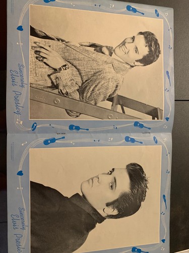 2512 / Elvis Presley-The Legend Lives On / 8 LP Box + Foto Heft ( Photo Folio)NM - Foto 6 di 9