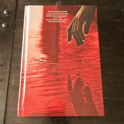 Andrew Gross The Dark Tide Novel Hardcover Crime Thriller 