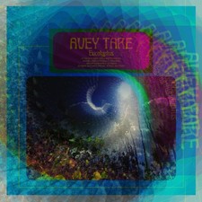 Avey Tare Eucalyptus Music CDs New