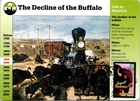 Dr Jim Stamps Maximum Card American Bison 39C Wonders Of America Fdc 2006