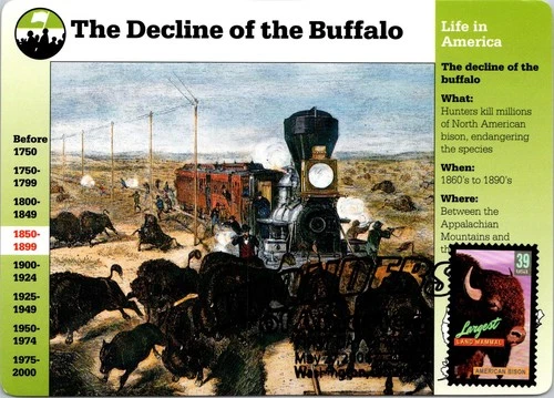 Dr Jim Stamps Maximum Card American Bison 39C Wonders Of America Fdc 2006