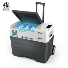 intex cooler 55 price