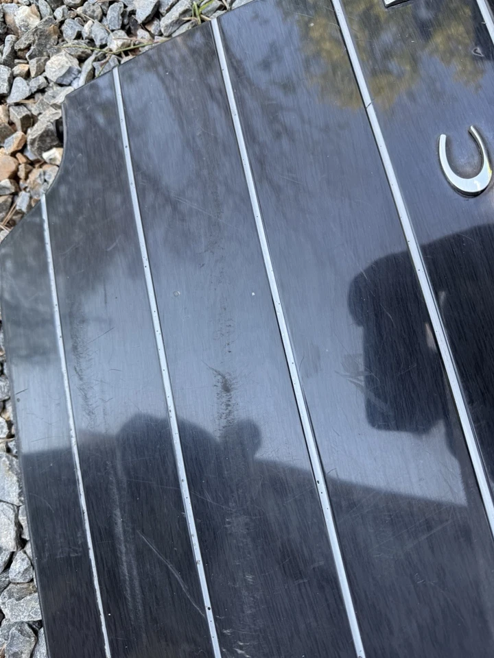 Nuevo OEM 2002 Lincoln Blackwood Puerta Trasera Izquierda Cuerpo Inferior Acabado Panel Moldura Foto 2 de 4