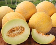 Melon Honey seeds, 2 gramms Melon seeds, organic seeds 143 TRACK  