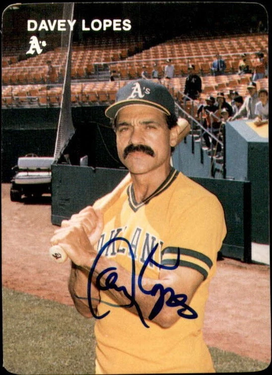 Head-Entirely-In-Box Test Proof Blank Back