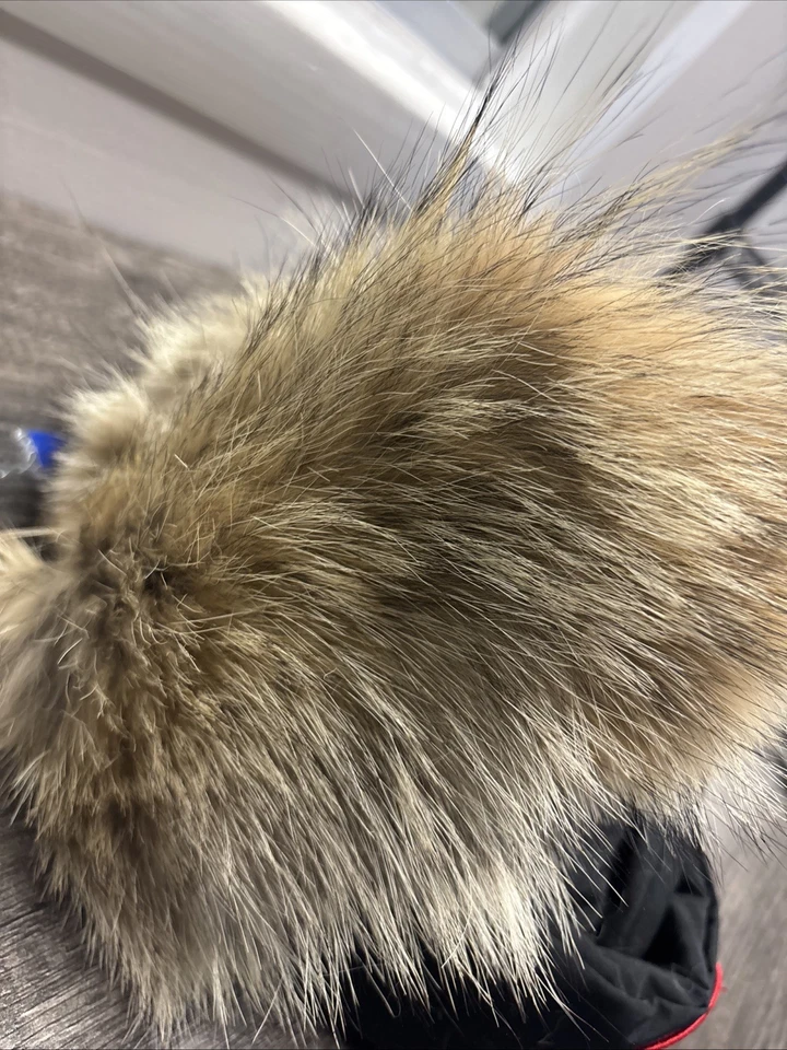 Sombrero de aviador de ganso de Canadá con piel de coyote - Unisex talla L-XL negro/noir auténtico Foto 4 de 4