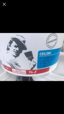 Ceiling Paint 15 Litres 90 Painting Decorating Gumtree