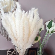 REAL Flowers 40 Stems Wedding Centerpiece Home Welcoming graduation decor