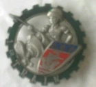 1st RT Atlas Edition Regimental Badge