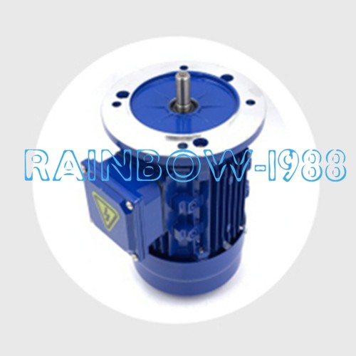 1PZ PER Motore asincrono trifase 380V YE4-8024-0,75KW - Foto 4 di 8
