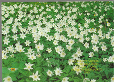 T-579 Finland / A Small Collection of 1990 Modern Mint Never Hinged/MNH