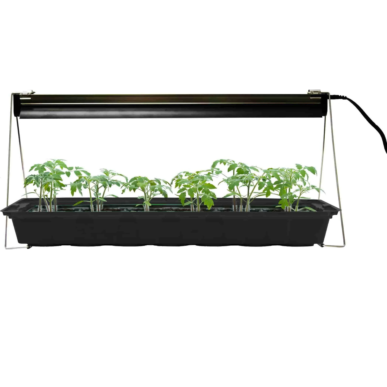 Fixture With T5 Bulb 24 X 11in.