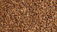 Seeds Harmal - Harmala - RUE ISBAND ISPAND ASPAND