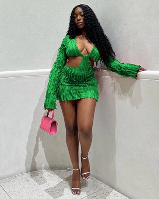 Long Sleeve Mesh Wave Short Bodycon Dress