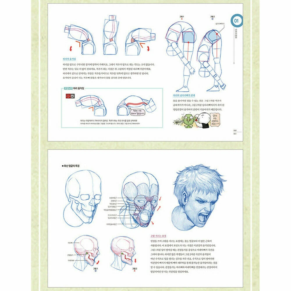 Share more than 141 anatomy drawing book latest vietkidsiq.edu.vn
