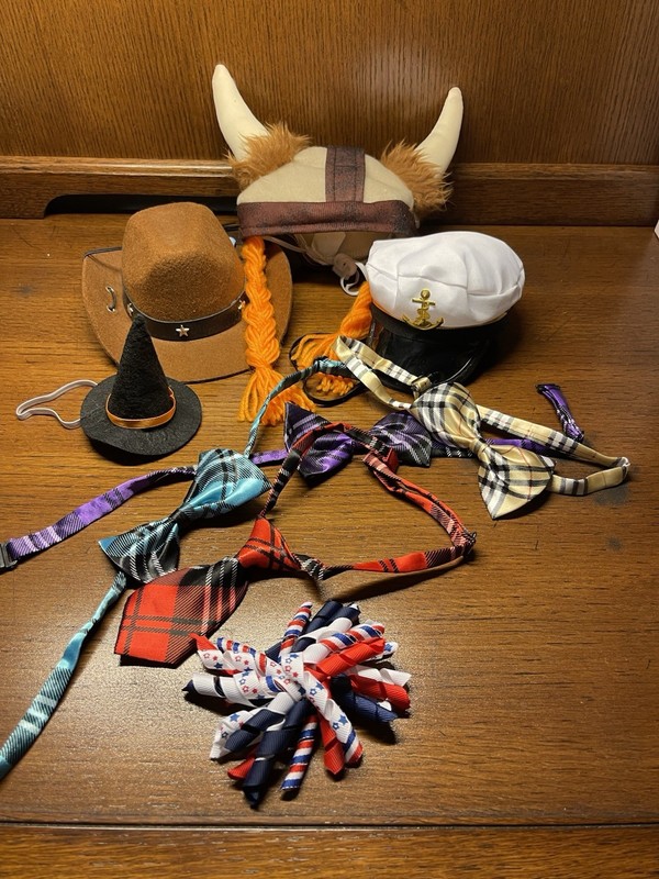 Lot of 9 Pet Costume Accessories