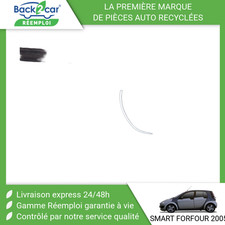 Pare-brise Smart FORFOUR