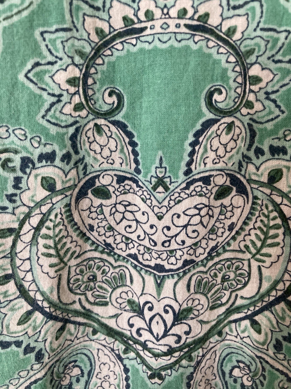 Rebecca Malone Blouse Women’s XL Collar Button Down Paisley Lt. Green Paisley